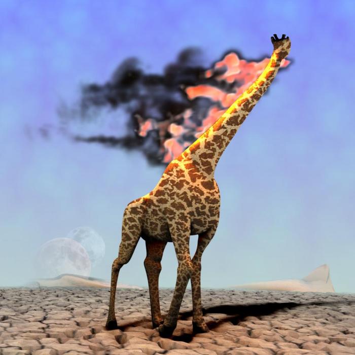 Giraffe on fire salvador dali