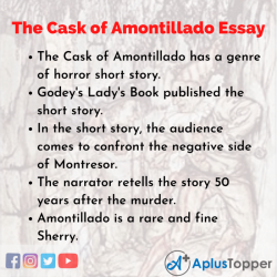 Cask of amontillado literary elements