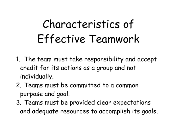 Which of the following is a characteristic of a team