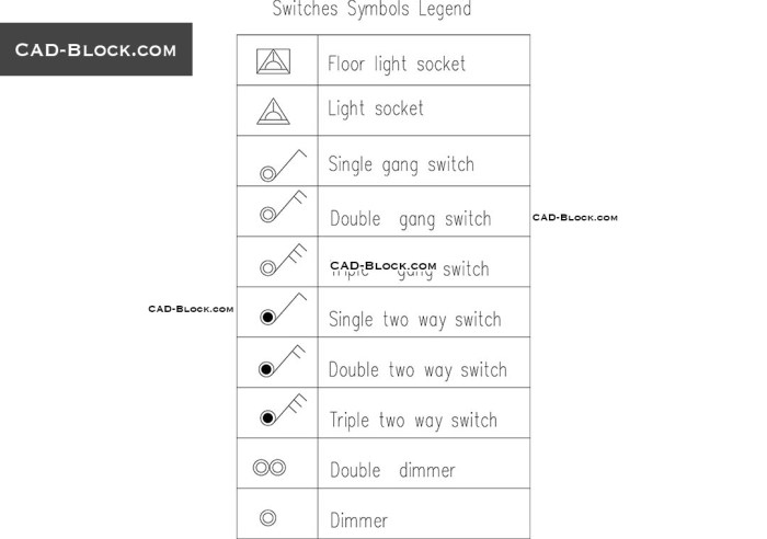 Single-pole and double-pole switch symbols are shown as