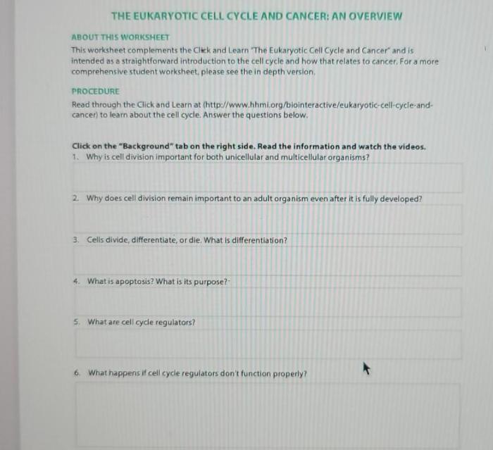 The eukaryotic cell cycle and cancer hhmi answers