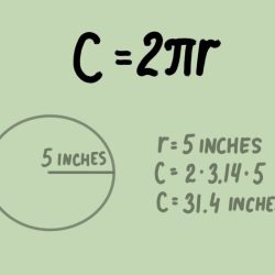 Area and circumference formulas worksheet answer key