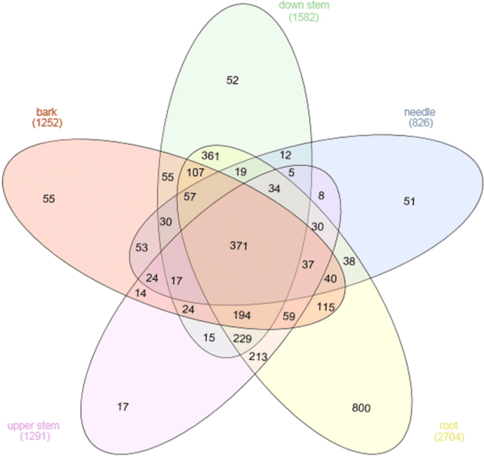 Fits the venn diagram of trees and body parts